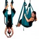 Omni Gym inversion swing